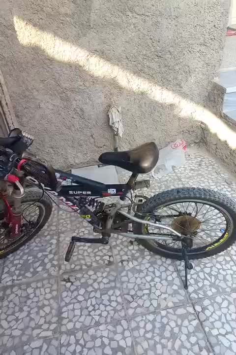 دوچرخه|دوچرخه، اسکیت، اسکوتر|برازجان, |دیوار