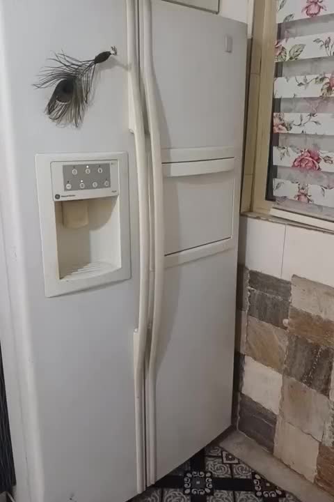 یخچال ساید جنرال الکتریک|یخچال و فریزر|ملارد, |دیوار