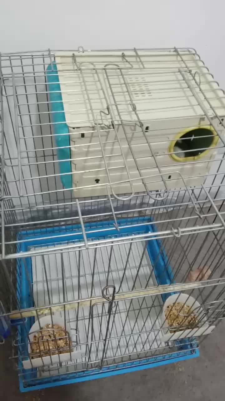 قفس کاسکویی بزرگ و کوچک با لانه و لوازم|لوازم جانبی حیوانات|همدان, |دیوار