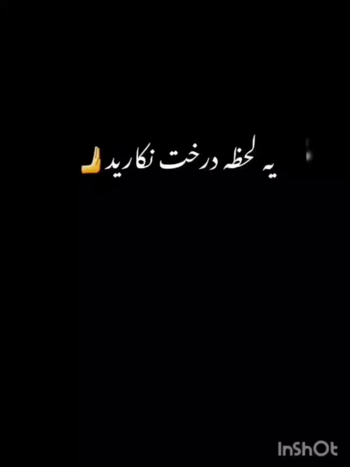 نظم دهنده کتاب|لوازم التحریر|شوشتر, |دیوار