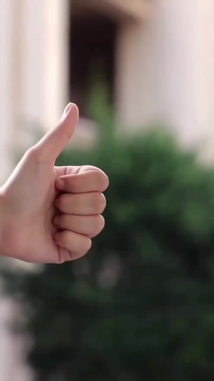 ویلایی/همکف/ ورودی مجزا/استقلال۲۷|اجارهٔ خانه و ویلا|نیشابور, گنبد سبز|دیوار