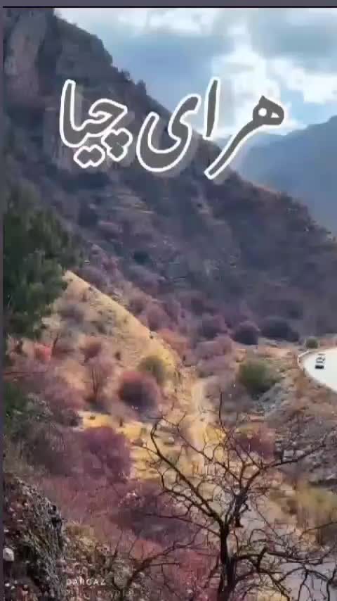 خواننده. مجالس. محمد. محبی|خدمات پذیرایی، مراسم|چناران, |دیوار