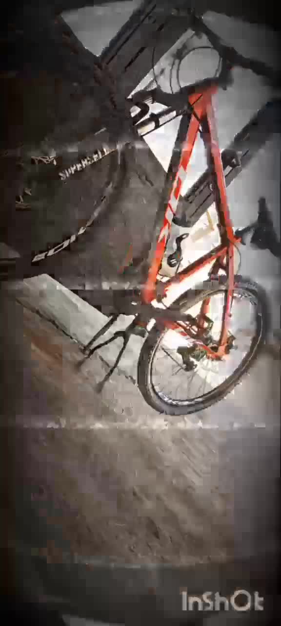 دوچرخه|دوچرخه، اسکیت، اسکوتر|باسمنج, |دیوار