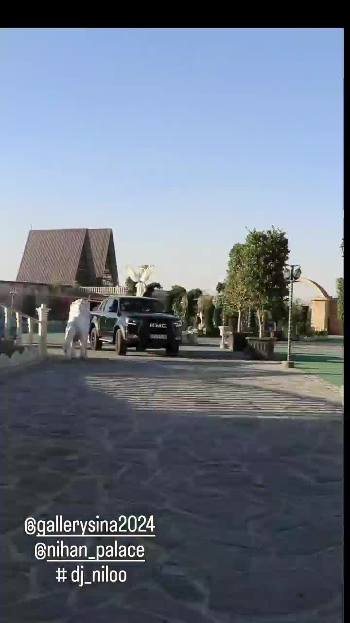 دیجی خانم و اقا .فیلمبردار خانم .dj|خدمات پذیرایی، مراسم|همدان, |دیوار