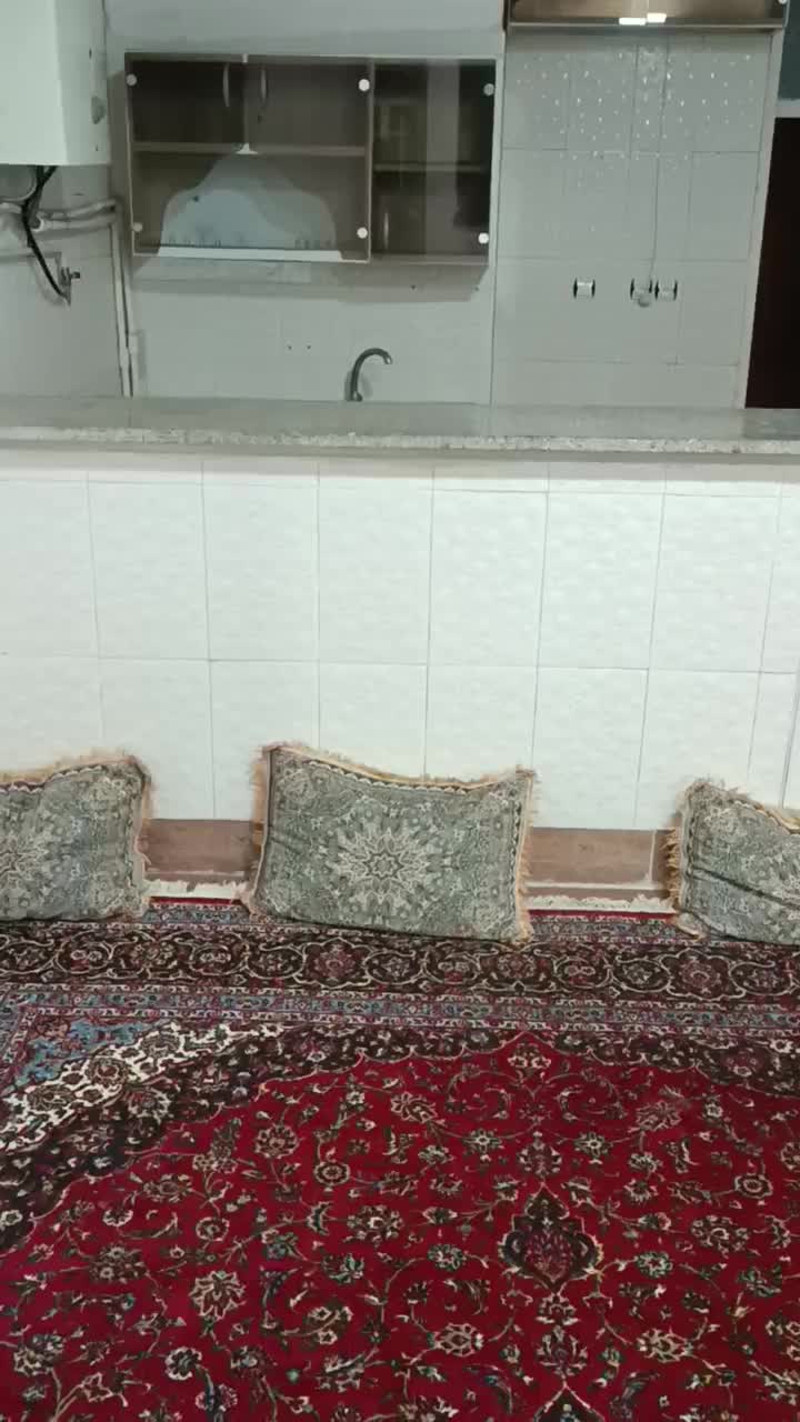 کفتر پر|پرنده|قهدریجان, |دیوار