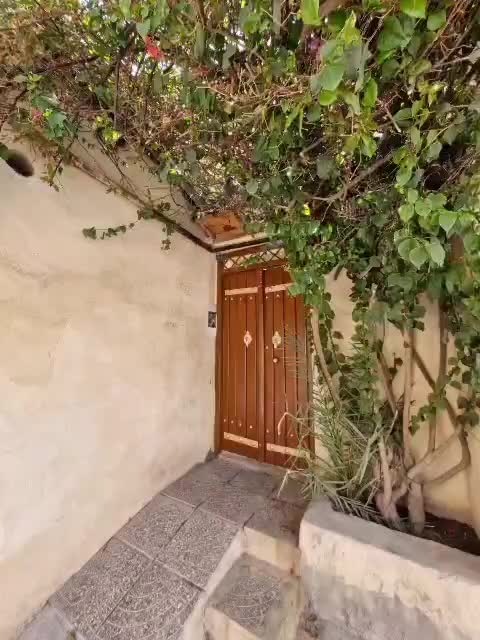 اجاره اقامتگاه بوم‌گردی و سوئیت در شیراز|اجارهٔ کوتاه‌مدت آپارتمان و سوئیت|شیراز, سیاه سنگ|دیوار