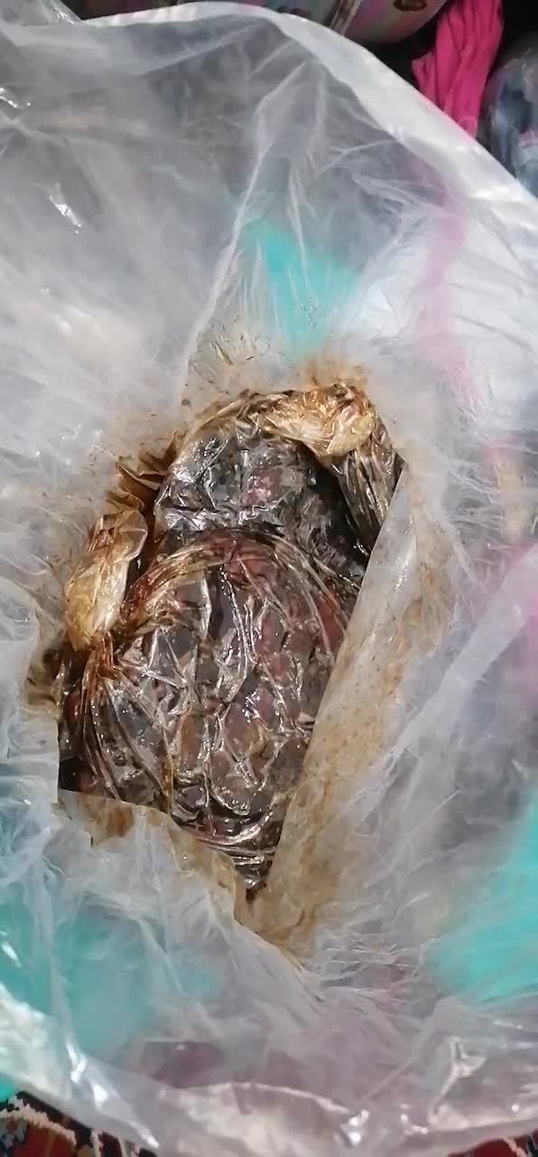 خرمای کبکاب|خوردنی و آشامیدنی|بندر کنگان, |دیوار