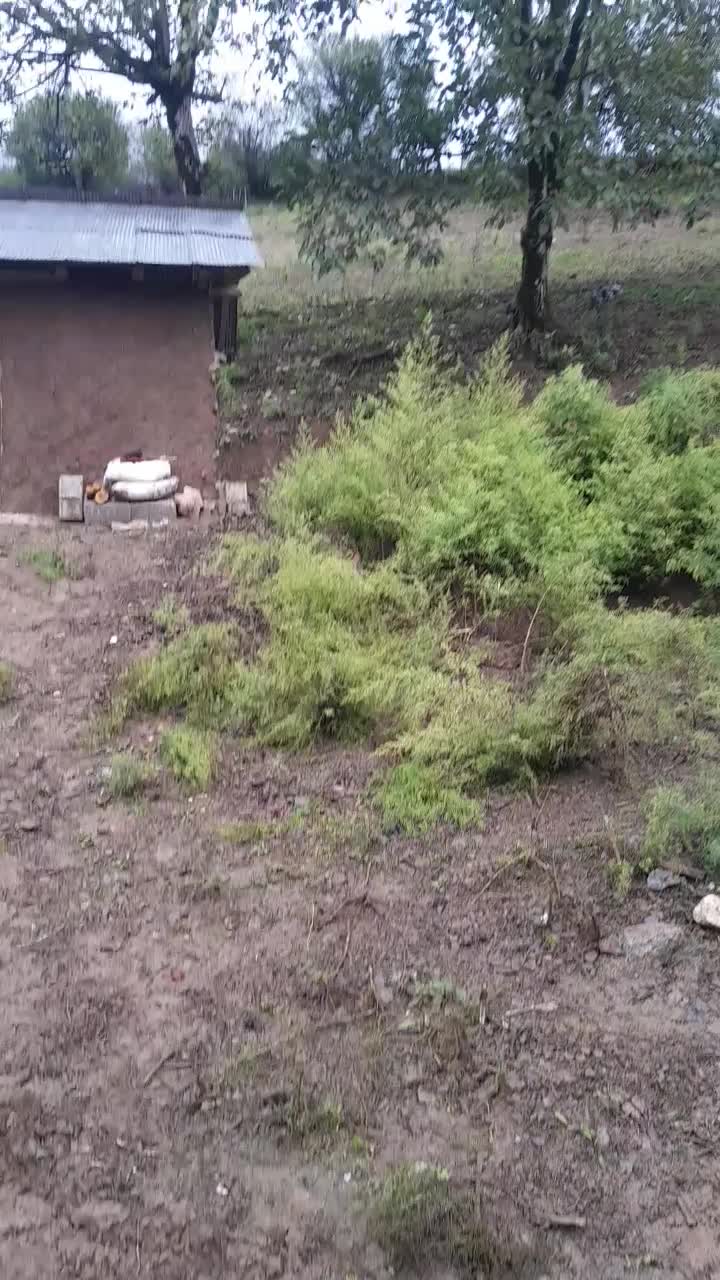 زمین با خانهویلایی ومحوطه دارای برق گاز اب|فروش خانه و ویلا|تالش, تالش|دیوار