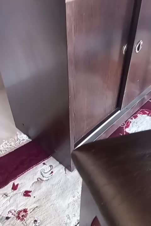 میز ناهار خوری ۴ نفره|میز و صندلی غذاخوری|نیشابور, مازول|دیوار