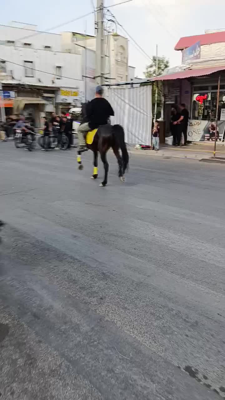 اسب کرد جواب پر خون سواریش کامل نشده|اسب و تجهیزات اسبسواری|قیدار, |دیوار