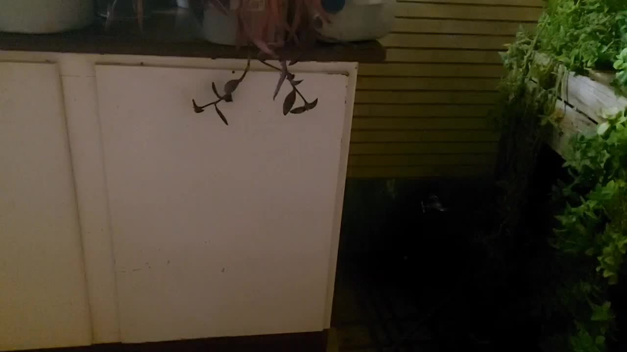 کمد وجا ظرفی اشپز خانه|آب‌چکان و نظم‌دهنده ظروف|اصفهان, جلالیه|دیوار