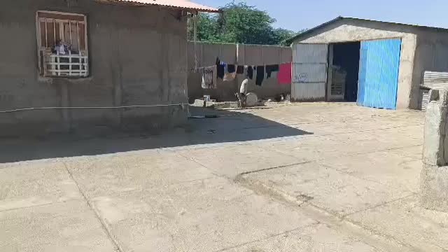 دامداری کامل مجهز برای فروش فوری|فروش دفتر صنعتی، کشاورزی، تجاری|سوسنگرد, |دیوار