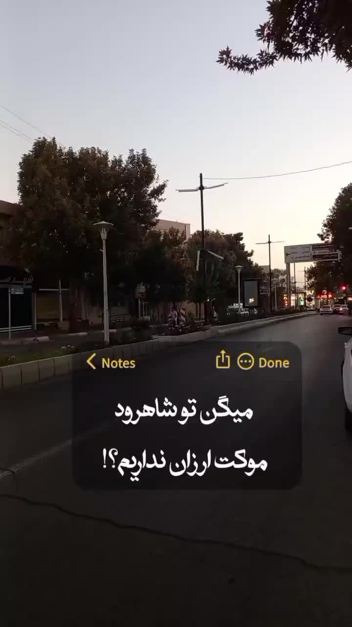 موکت فقط متری ۱۹۵/۰۰۰ تومان|موکت|شاهرود, |دیوار