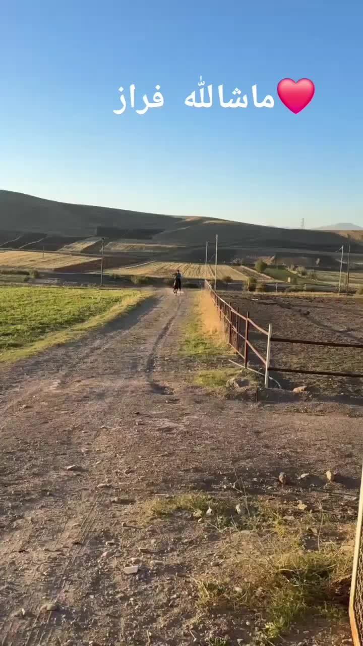 اسب|اسب و تجهیزات اسب‌سواری|اهر, |دیوار