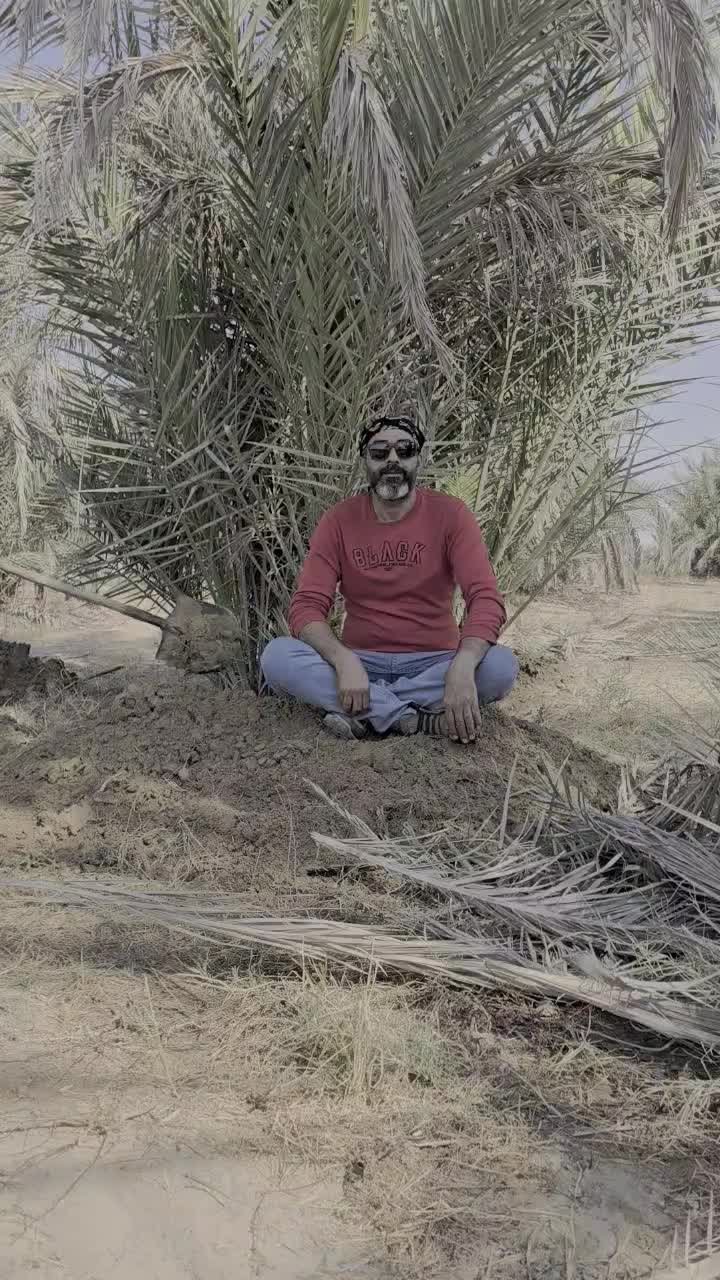 دمیت پاجوش مرکز تحقیقات سازمان جهاد کشاورزی|خدمات باغبانی و درختکاری|آبپخش, |دیوار