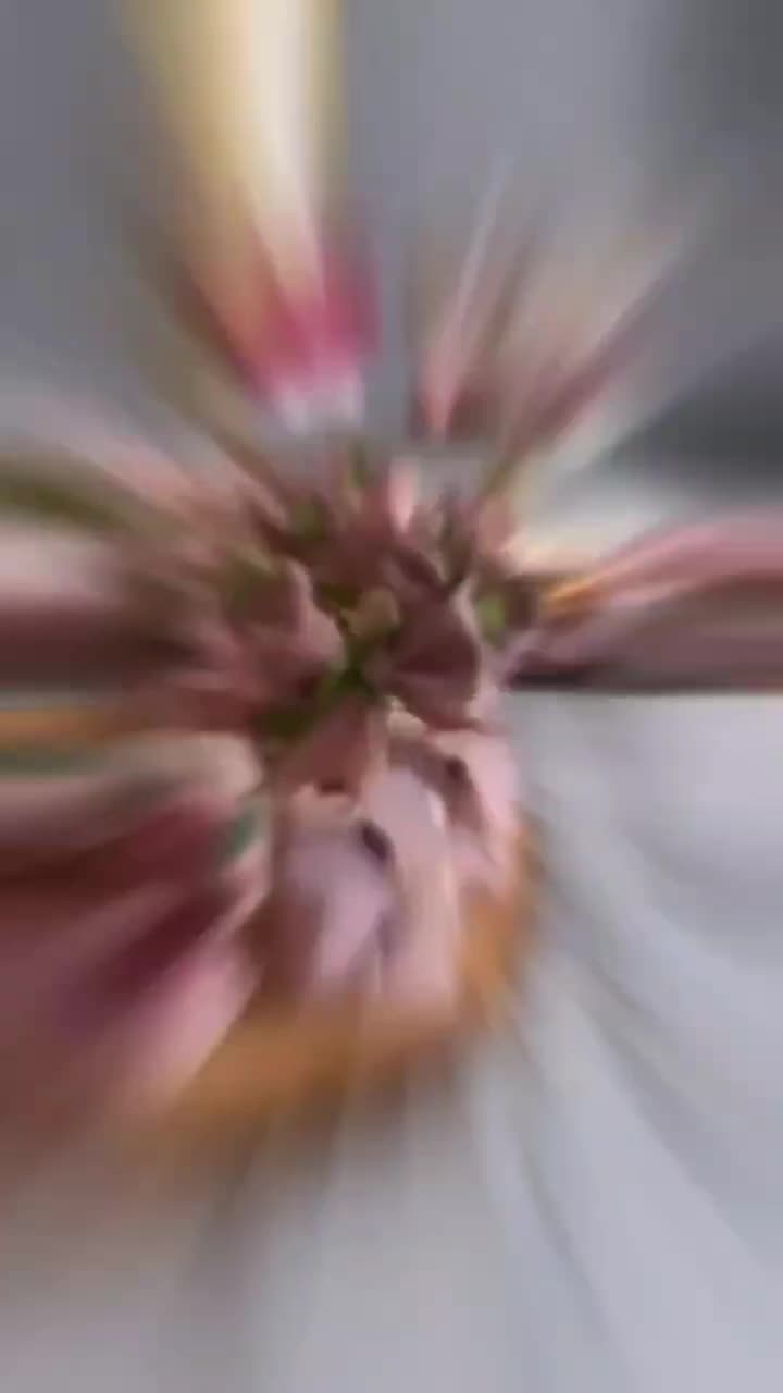 نمایندگی قنادی و شیرینی / فرصت ویژه سرمایه گذاری|خوردنی و آشامیدنی|تهران, شهرک پرواز|دیوار
