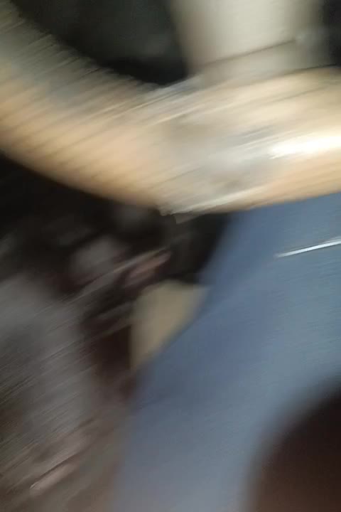 فروش کن کورسو|سگ|زاهدان, |دیوار