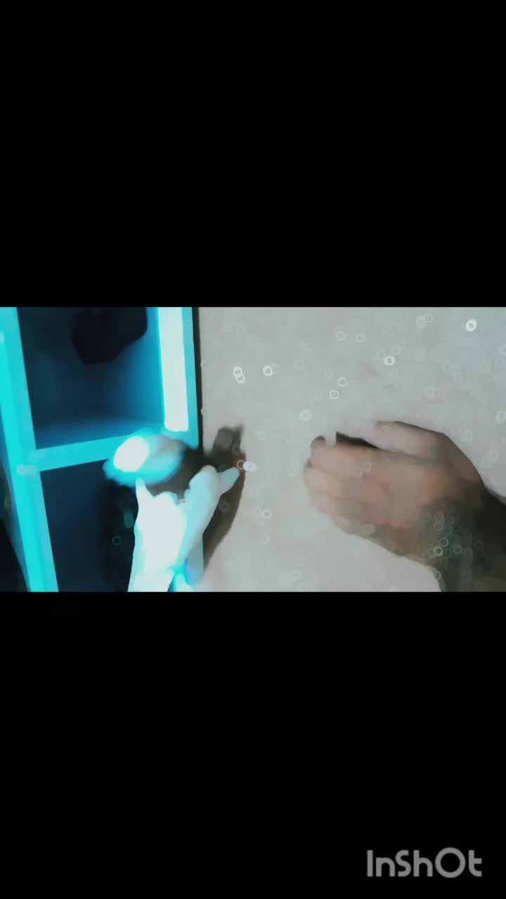 کفتر طوقی دستی و یکی جوجه دمبی نیمه دستی|پرنده|اردکان, |دیوار