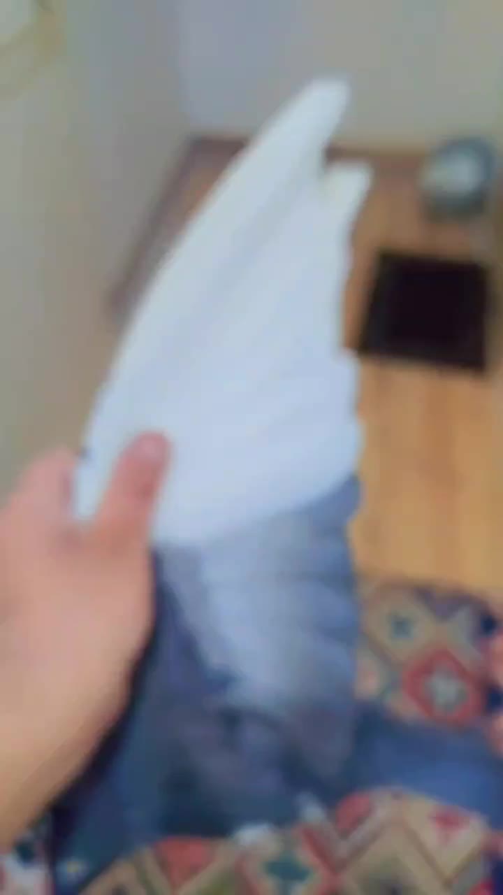 نرپلنگ|پرنده|یزدان شهر, |دیوار