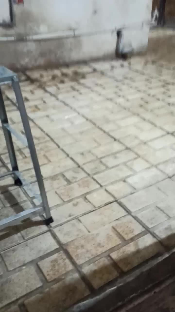 خانه|اجارهٔ خانه و ویلا|قرچک, داوود آباد|دیوار