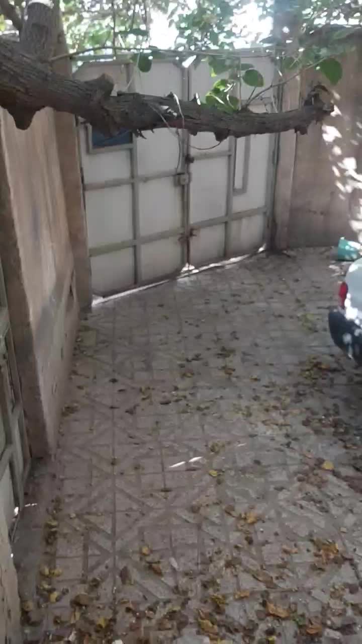 خانه کلنگی ۲۲۵ مترو ۹۳ سانت|فروش زمین و ملک کلنگی|کرج, برغان|دیوار