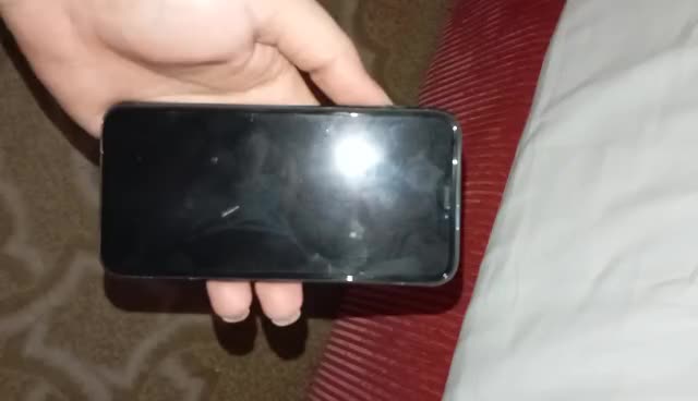 آیفون ۱۱ پرو ۲۵۶ گیگ|موبایل|لامرد, |دیوار