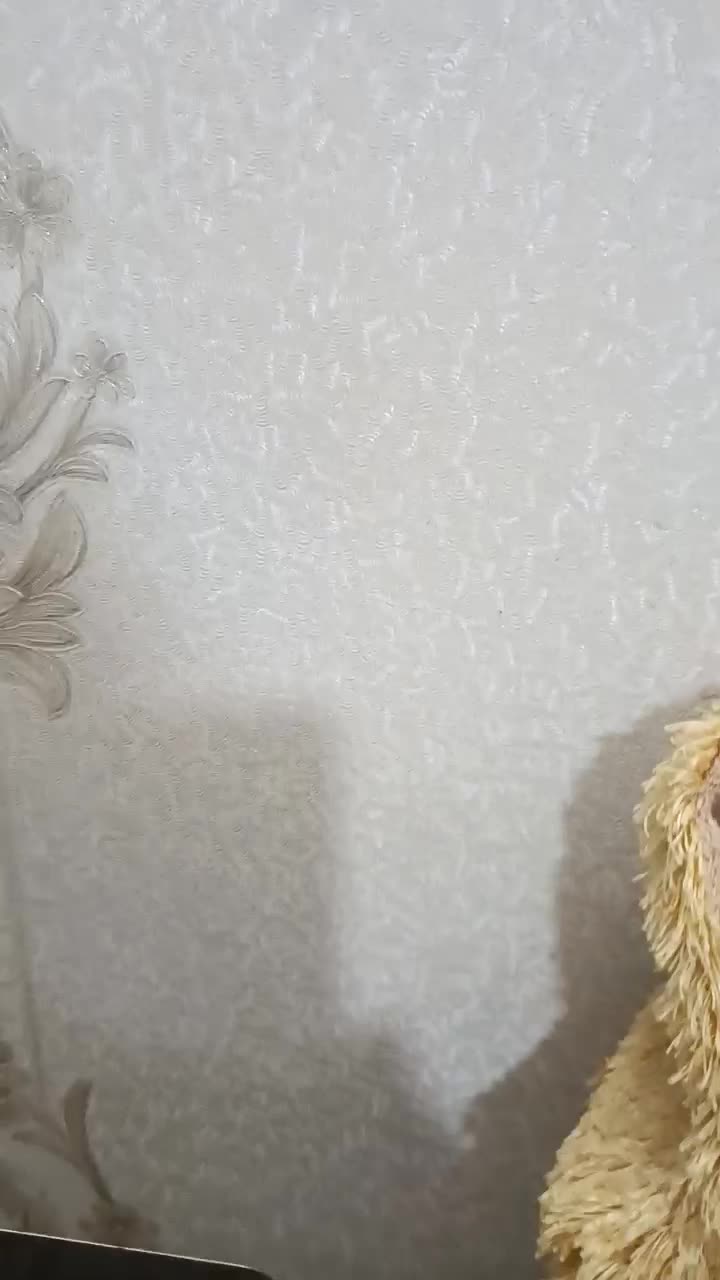 گوگل پیکسل ۸|موبایل|چهاردانگه (تهران), |دیوار