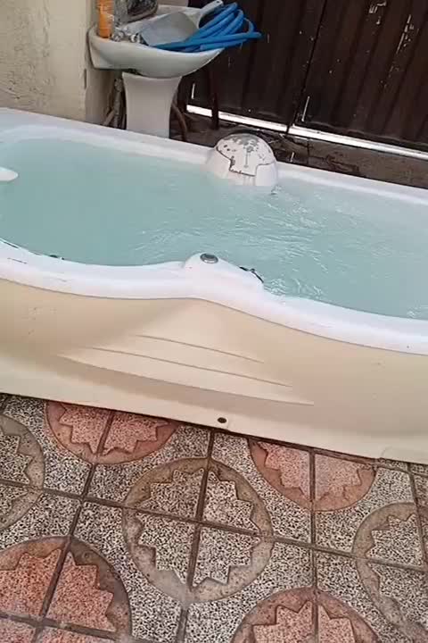 جکوزی وان حمام|لوازم سرویس بهداشتی|ماهدشت, |دیوار