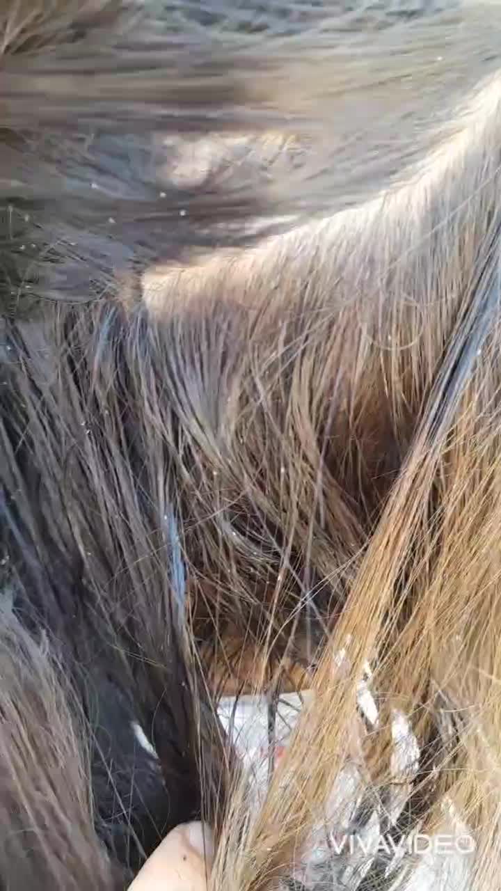 درمان شپش درچنددقیقه تضمینی|خدمات آرایشگری و زیبایی|شوش, |دیوار