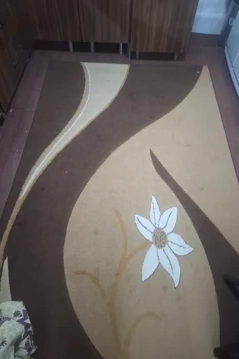 موکت فرشی|موکت|تهران, مولوی|دیوار