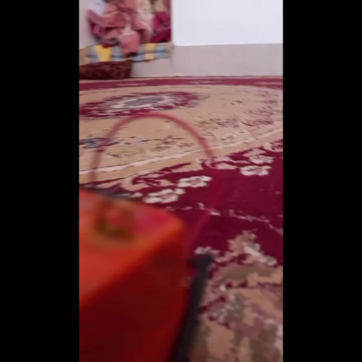 لنز سفید و زرد زرد خالی و سفید خالی و پلیسی|قطعات یدکی و لوازم جانبی|داراب, |دیوار