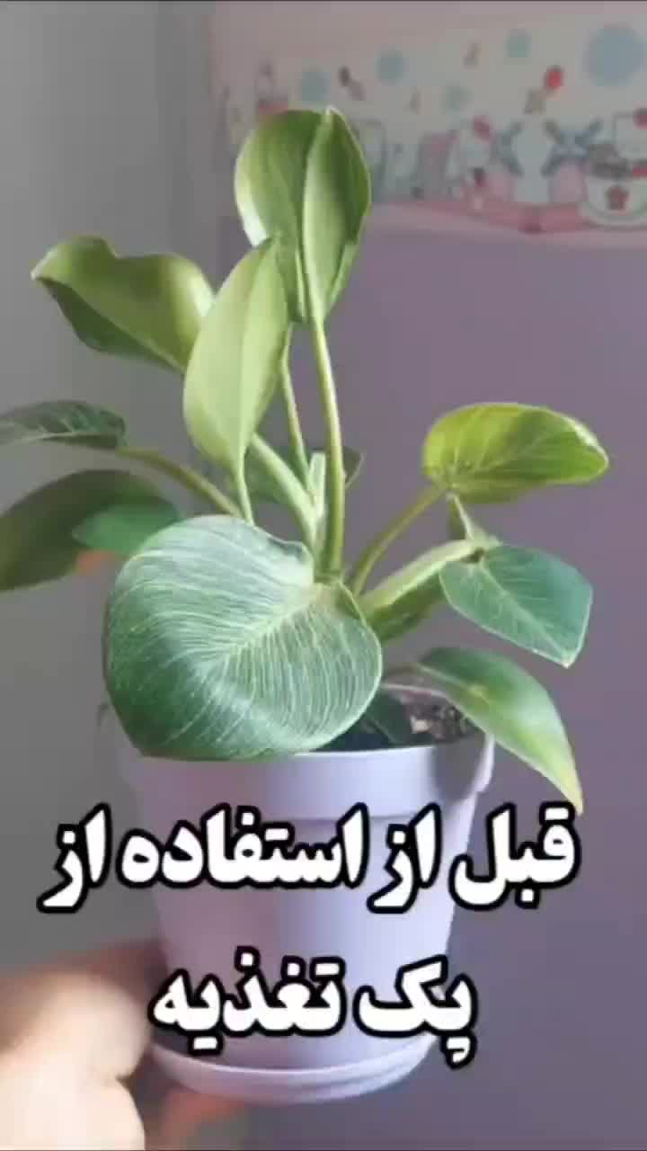 قرص کود ارگانیک سبوسیب گیلان۱۲۰عدد(ارسال نمایندگی)|گل و گیاه طبیعی|اهواز, فاز ۲ پادادشهر|دیوار