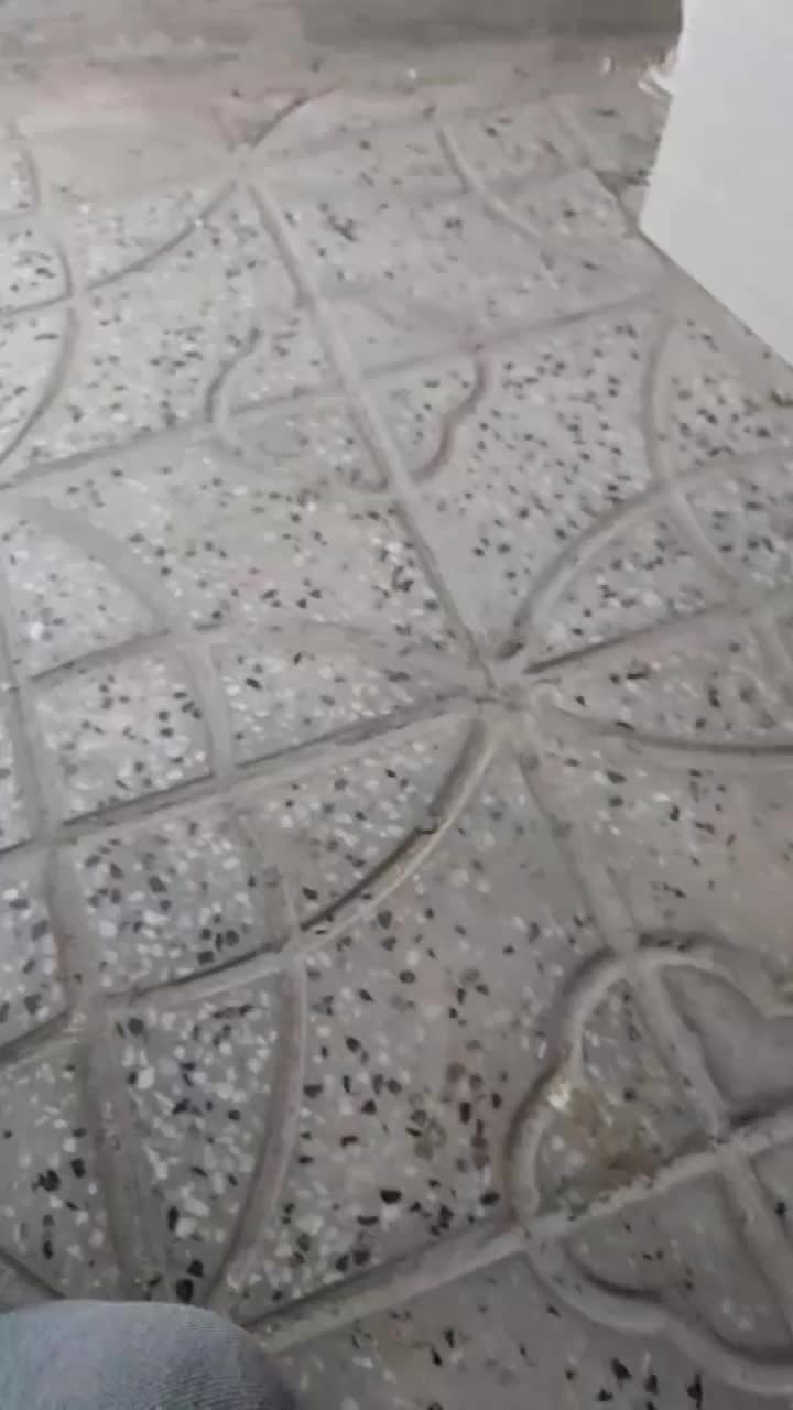 کفتر ساده ،سار|پرنده|تربت‌حیدریه, باغ سلطانی|دیوار