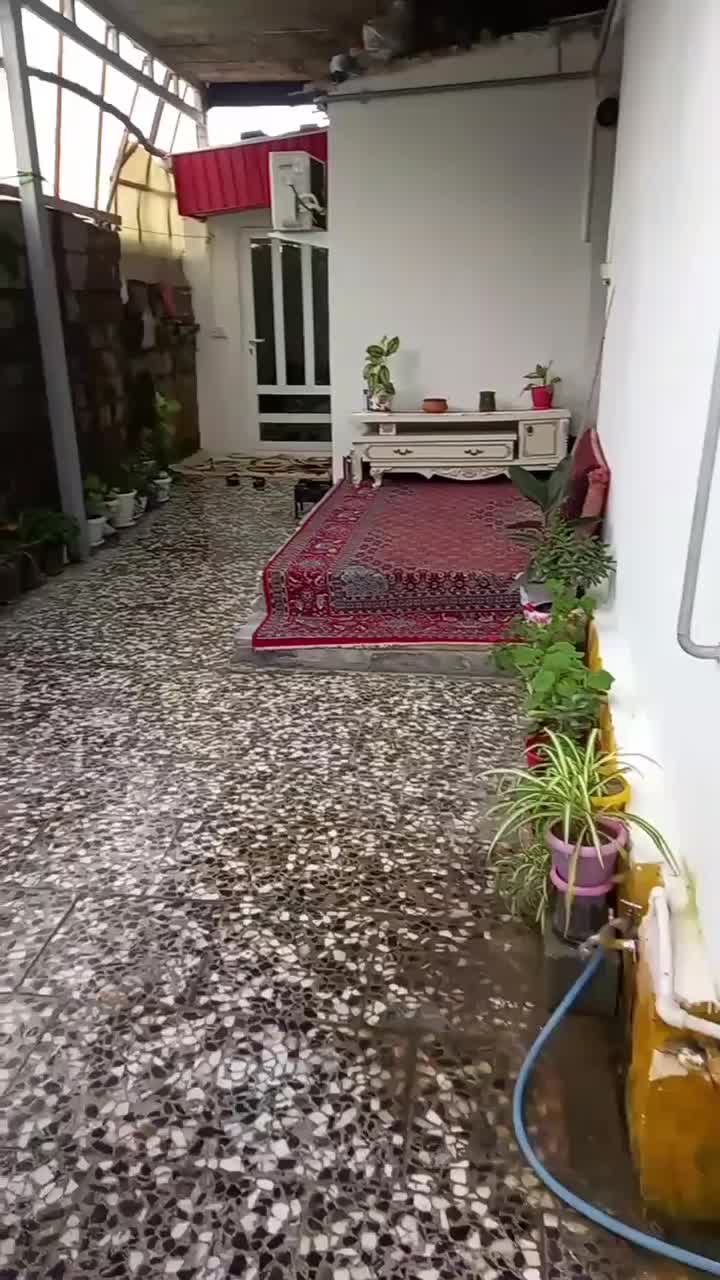 اجاره خانه تمیز یک خوابه|اجارهٔ کوتاه‌مدت آپارتمان و سوئیت|چالوس, |دیوار