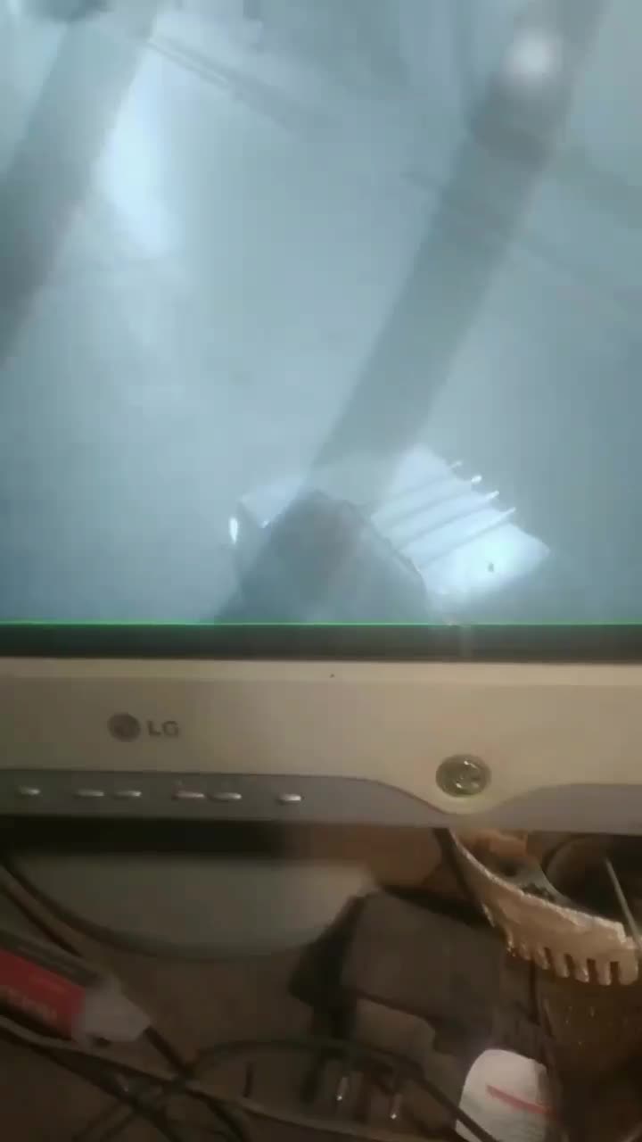 سگ پامر گمشده مژدگانی عالی|حیوانات|تربت جام, علوی|دیوار