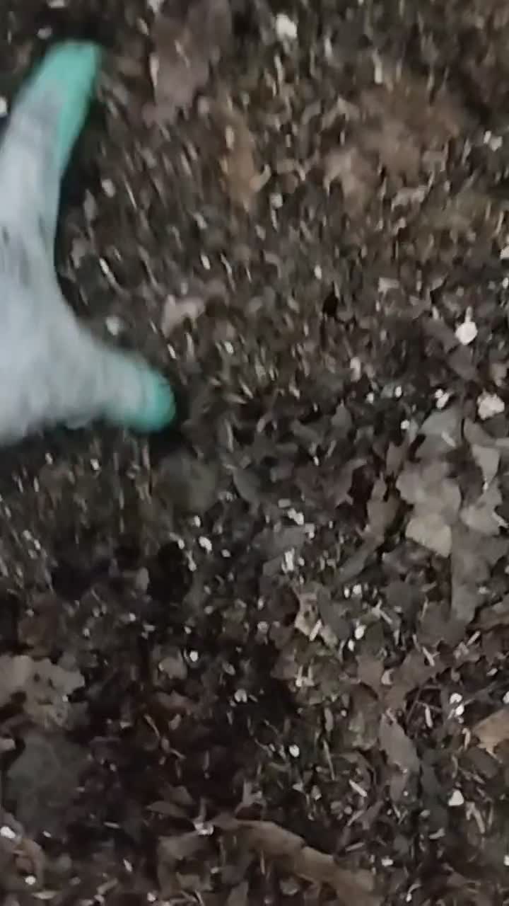 خاک برگ|گل و گیاه طبیعی|گنبد کاووس, |دیوار