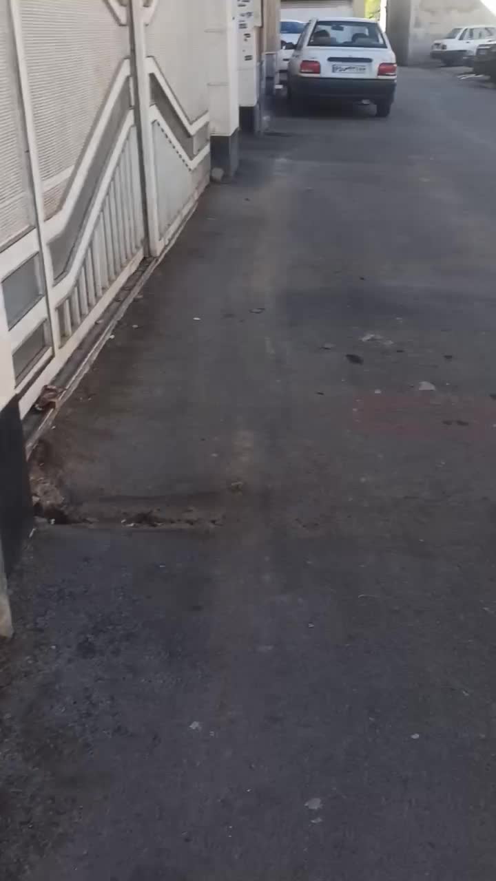 اپارتمان|اجارهٔ آپارتمان|شیراز, امام حسین|دیوار