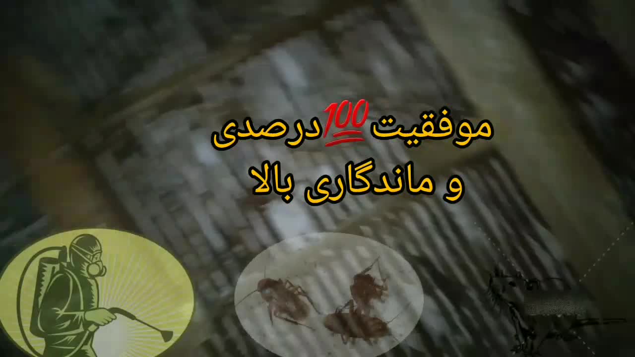 سم‌پاشی *تخصصی* موش و سمپاشی سوسک کک پشه ساس|خدمات نظافت|رشت, بوسار|دیوار