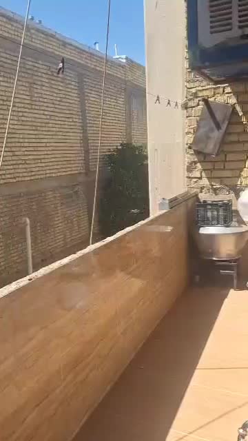 فروش خانه|فروش آپارتمان|شیراز, کوشک میدان|دیوار