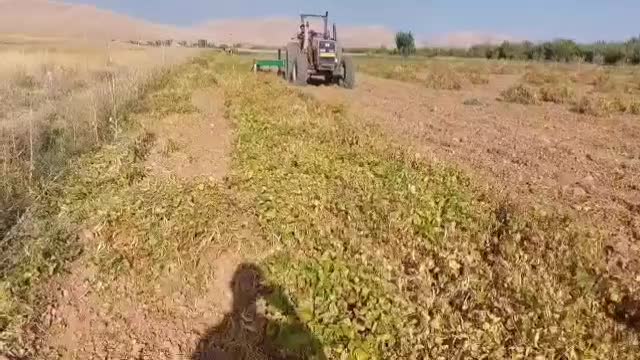 دستگاه برداشت حبوبات|ماشین‌آلات صنعتی|شیراز, دروازه اصفهان|دیوار
