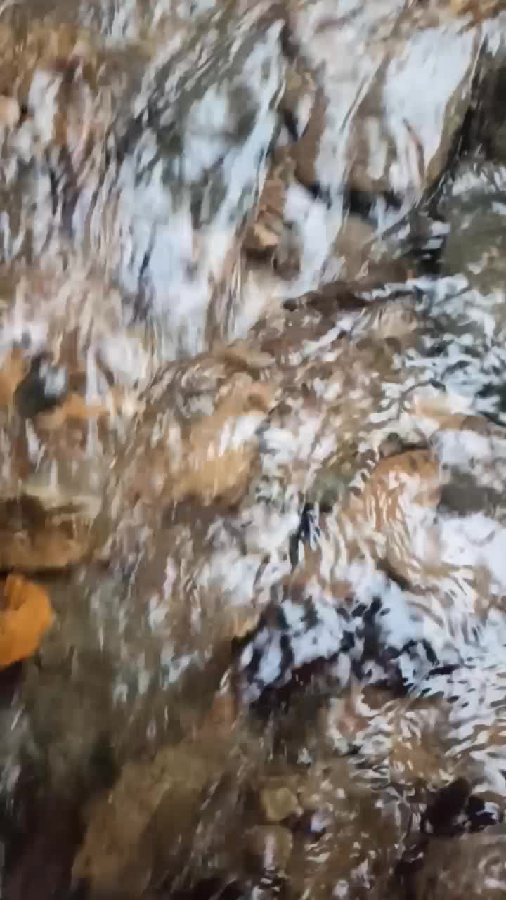 راهنمای گردشگری گیلان تجربه بینظیر|تور و چارتر|بندر انزلی, عباس آباد|دیوار