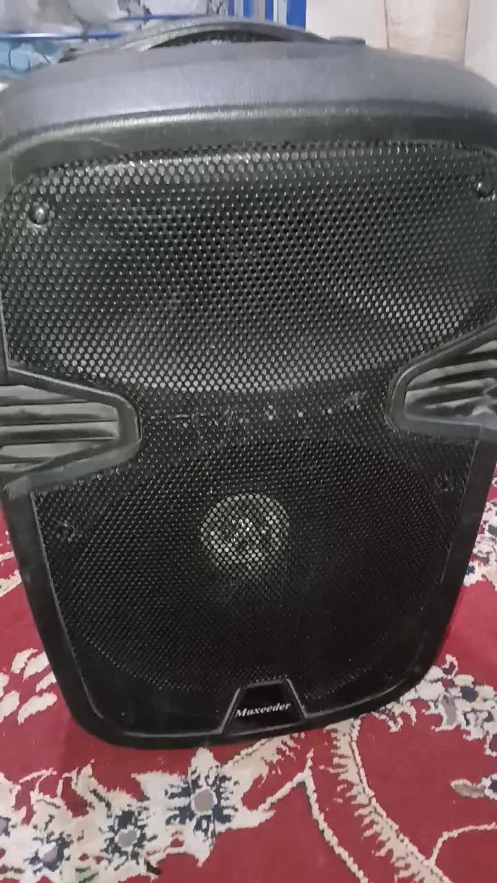 باند ۱۲ اینچ شارجی|سیستم صوتی خانگی|سمنان, |دیوار