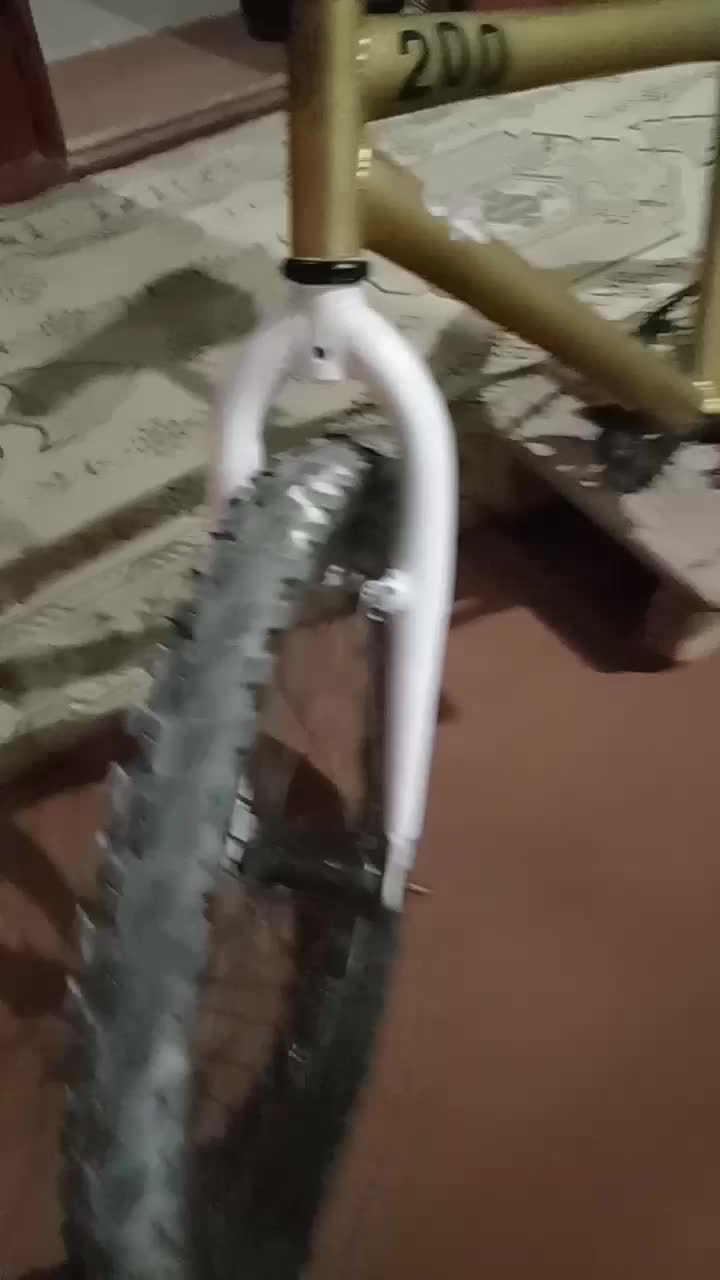 دوچرخه  20|دوچرخه، اسکیت، اسکوتر|گمیشان, |دیوار