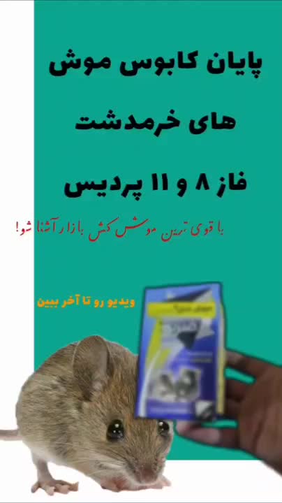 مرگ موش، سم موش، چسب موش بسیار قوی|لوازم نظافت|پردیس, شهرک صنعتی خرمدشت فاز ۷|دیوار