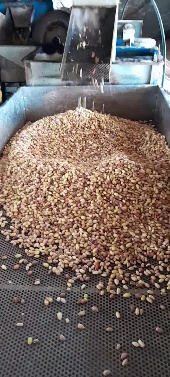 پسته  طلای سبز دامغان|خوردنی و آشامیدنی|ری, جوانمرد قصاب|دیوار