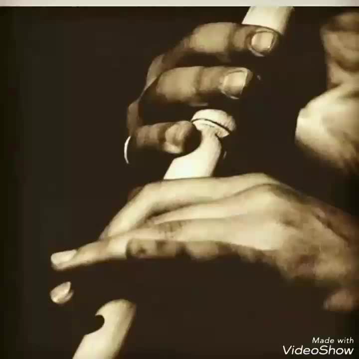 فروش ویژه نی حرفه ای|سازهای بادی|اصفهان, ملک‌شهر|دیوار