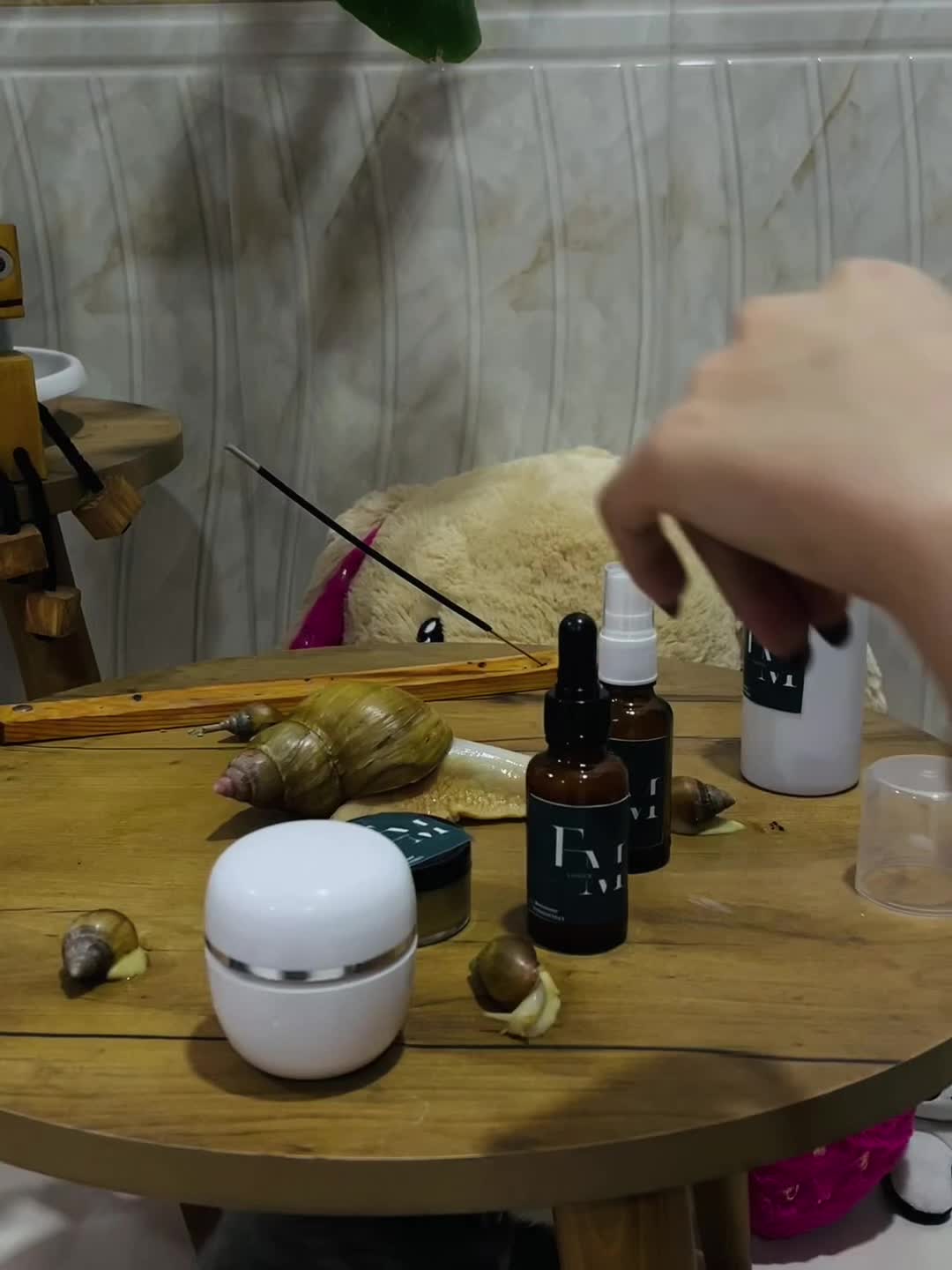 محصولات پوستی ارگانیک|خدمات آموزشی|کرمان, |دیوار