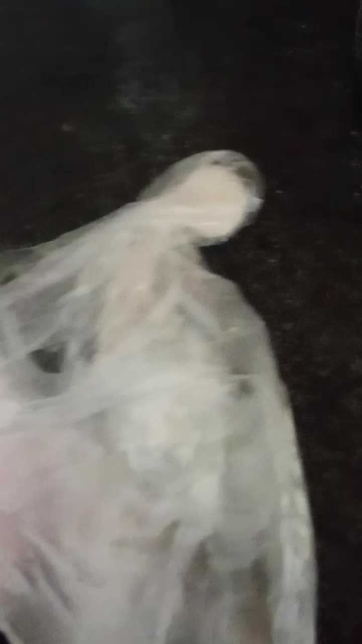 فروش|کلکسیون اشیاء عتیقه|بیرجند, |دیوار