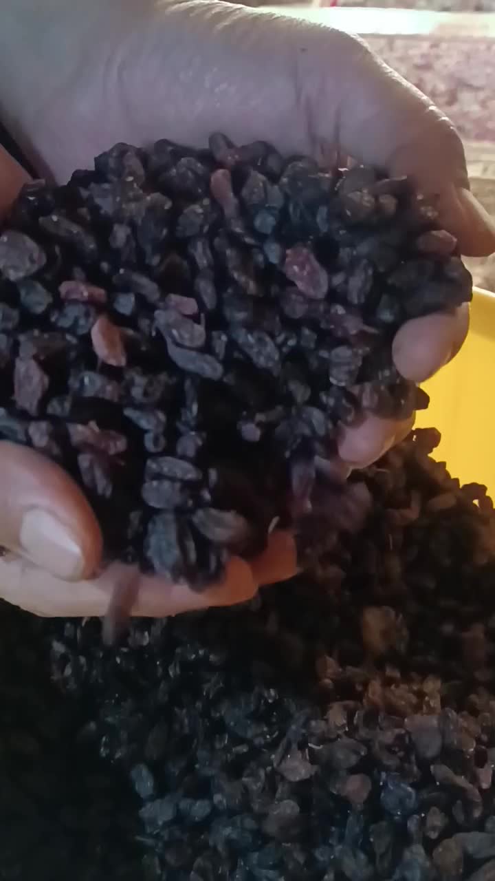 کشمش بی دانه|خوردنی و آشامیدنی|نوشین شهر, |دیوار