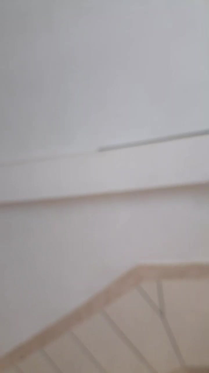 اتو بار میلاد با۱۷سال سابقه|خدمات حمل و نقل|کنگاور, |دیوار